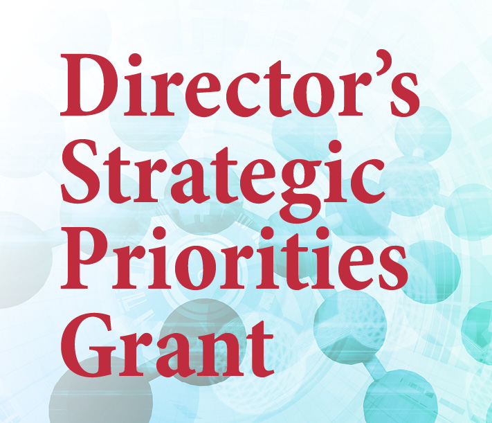 Director Strategic Grants
