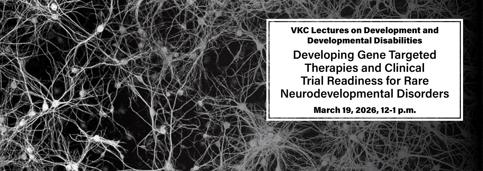 <p>Join us for this VKC lecture on development and developmental disabilities. Learn more here.</p>