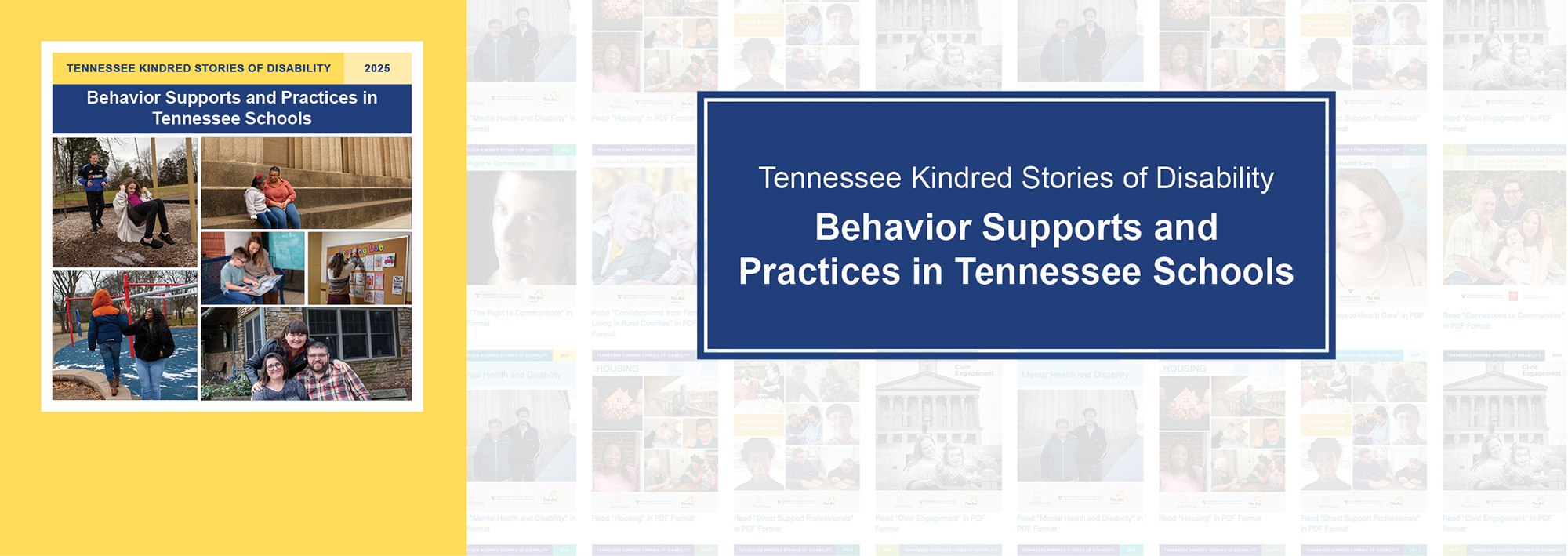 <p>Tennesseans share their personal stories about behavior supports and practices in Tennessee schools in the latest issue of Kindred Stories of Disability.</p>