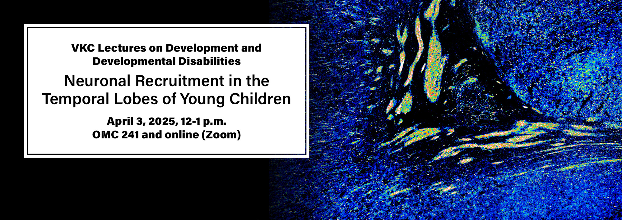 <p>Learn about neuronal recruitment in the temporal lobes of young children. Register: vkc.vumc.org/events/6965</p>